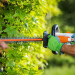 Ratschläge für die Gartenarbeit