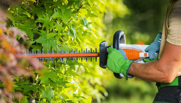 Ratschläge für die Gartenarbeit