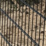 Zaunsysteme aus Stabmatten